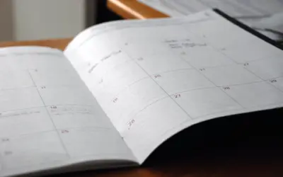 QUE PASÓ EL DÍA  6