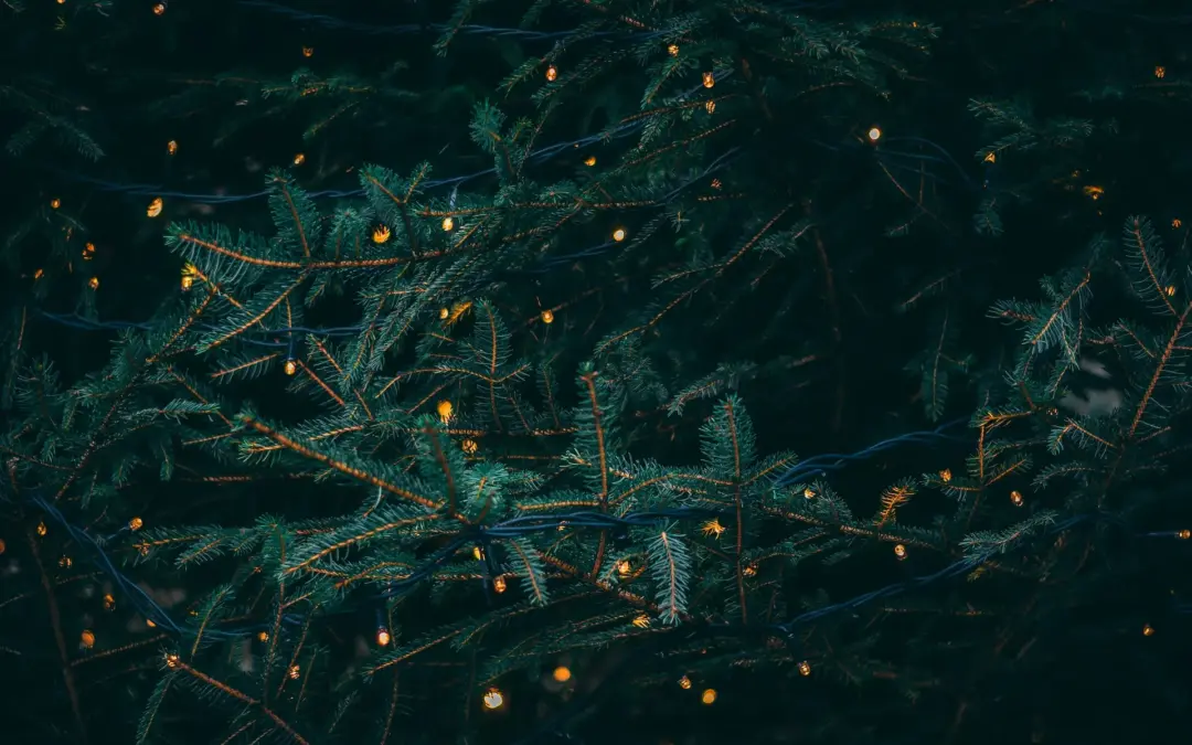 🎄 La Verdadera Navidad: un encuentro con el corazón de Dios