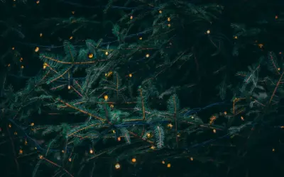 🎄 La Verdadera Navidad: un encuentro con el corazón de Dios