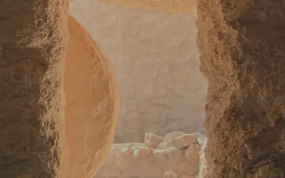 Celebramos la Vida a través de la Resurrección de Jesús.
